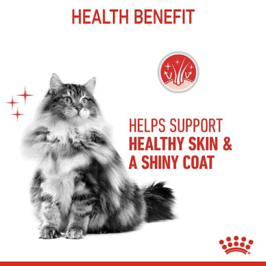 Royal Canin Hair & Skin Care – Hrană Uscată pentru Pisici Adulte – 400 g